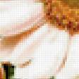 Preview of cross stitch pattern: #353983