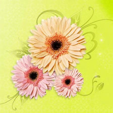 Cross stitch pattern: #353984