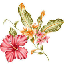 Cross stitch pattern: #353987