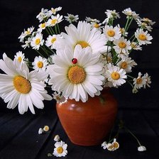 Cross stitch pattern: #354182