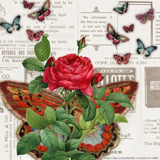 Cross stitch pattern: #355694