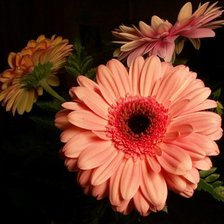 Cross stitch pattern: #356058