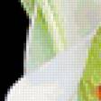 Preview of cross stitch pattern: #356203