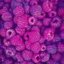 Cross stitch pattern: #356366