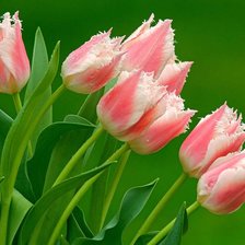 Cross stitch pattern: #356482
