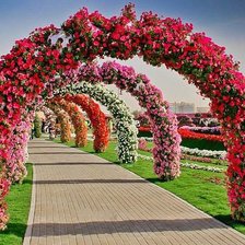 Cross stitch pattern: #356729