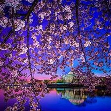 Cross stitch pattern: #356765