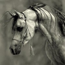 Cross stitch pattern: #356821