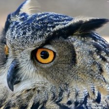 Cross stitch pattern: #356873