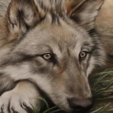 Cross stitch pattern: #357776