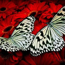 Cross stitch pattern: #357793