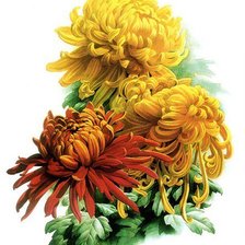 Cross stitch pattern: #358346