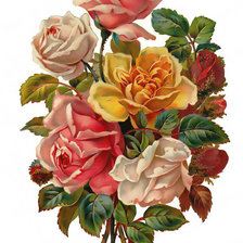 Cross stitch pattern: #358490