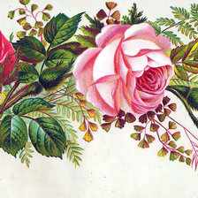 Cross stitch pattern: #358497