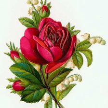 Cross stitch pattern: #358508