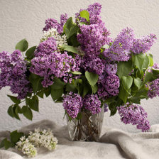 Cross stitch pattern: #358809