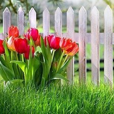 Cross stitch pattern: #358977