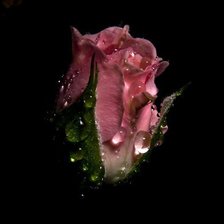 Cross stitch pattern: #359288