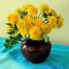 Cross stitch pattern: #359296