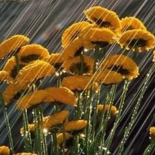 Cross stitch pattern: #359309