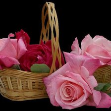 Cross stitch pattern: #359692