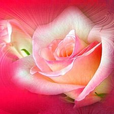 Cross stitch pattern: #359693