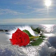 Cross stitch pattern: #359700