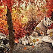 Cross stitch pattern: #359715