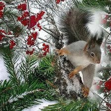Cross stitch pattern: #359718