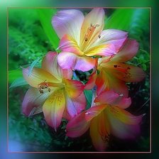 Cross stitch pattern: #359719