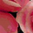 Preview of cross stitch pattern: #359726