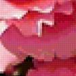Preview of cross stitch pattern: #359729