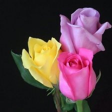 Cross stitch pattern: #359730