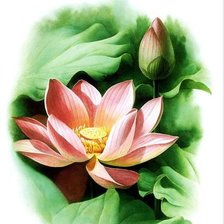 Cross stitch pattern: #359731