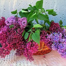 Cross stitch pattern: #359740