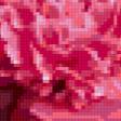 Preview of cross stitch pattern: #359744