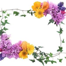 Cross stitch pattern: #359957