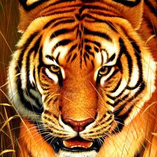 Cross stitch pattern: #359999