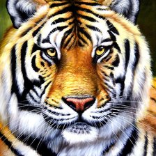 Cross stitch pattern: #360000