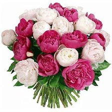 Cross stitch pattern: #360326