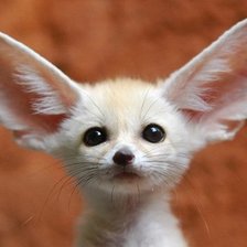 Cross stitch pattern: #360331