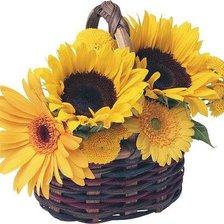 Cross stitch pattern: #360457