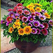 Cross stitch pattern: #361240
