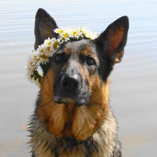 Cross stitch pattern: #361744