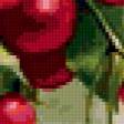 Preview of cross stitch pattern: #361829