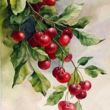 Cross stitch pattern: #361829