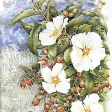 Cross stitch pattern: #362047