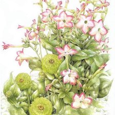 Cross stitch pattern: #362051