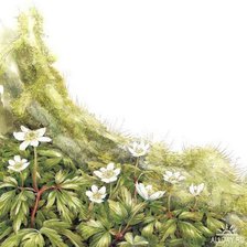 Cross stitch pattern: #362052