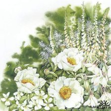 Cross stitch pattern: #362059